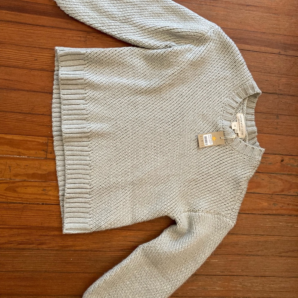 Saltwater Luxe boutique sage crew neck sweater, new with tags